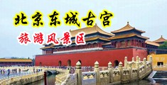 性感美女小穴中国北京-东城古宫旅游风景区